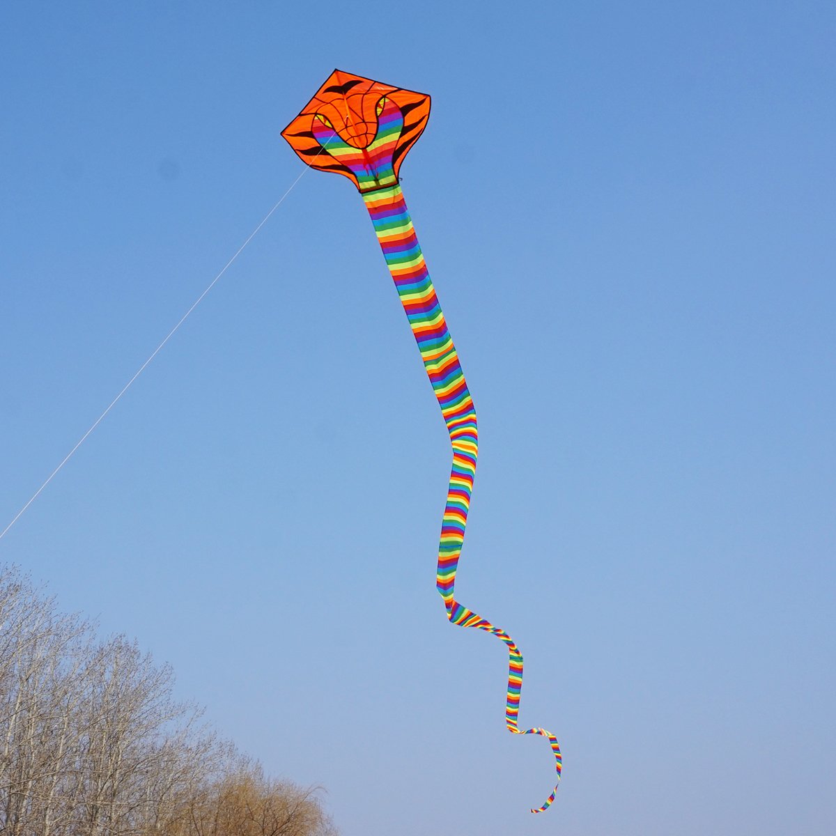 Besra Large Cobra Snake Kite 52ft Colorful Rattlesnake Kite with